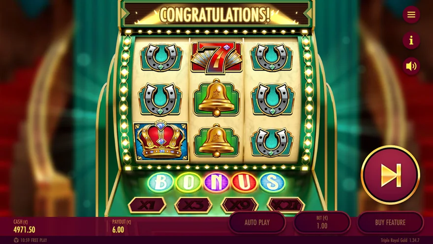 Triple Royal Gold B-O-N-U-S meter complete